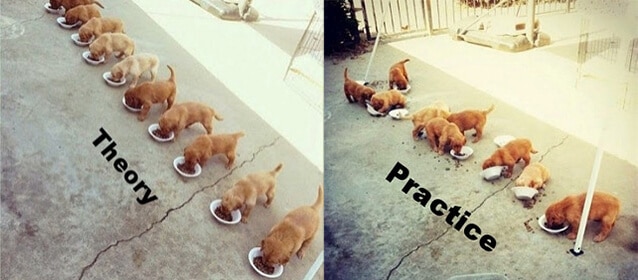 Practice is different to theory
