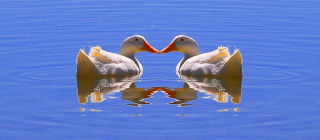 The Service Desk and Relationship Management: All You Need Is Love
